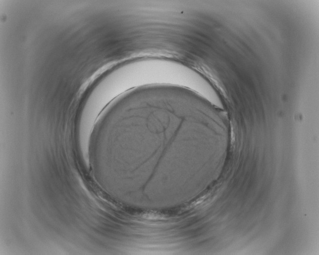 X0000087700348200706011750