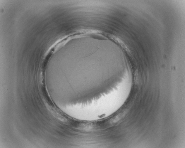 X0000087700351200706011750