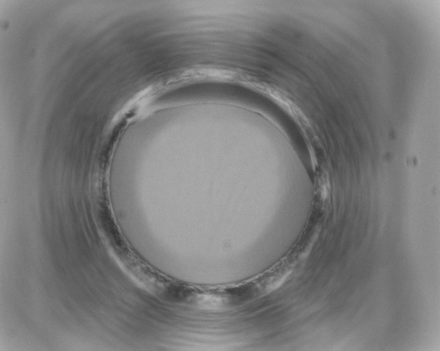 X0000087700352200706011750