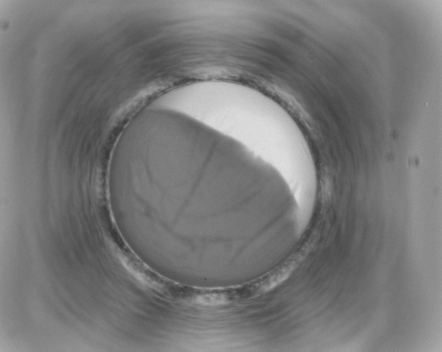 X0000087700353200706011750