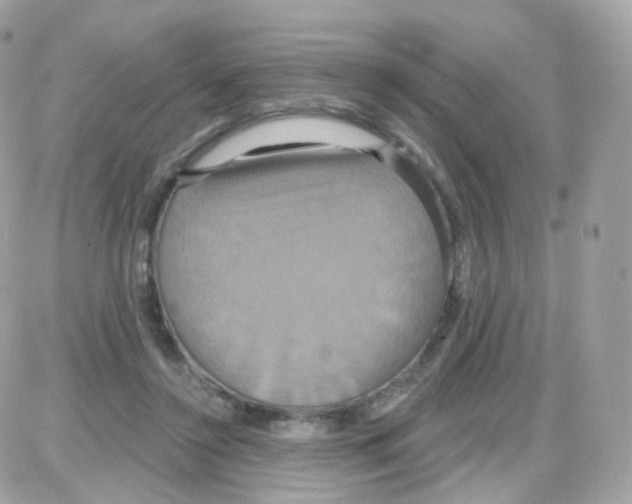 X0000087700356200706011750