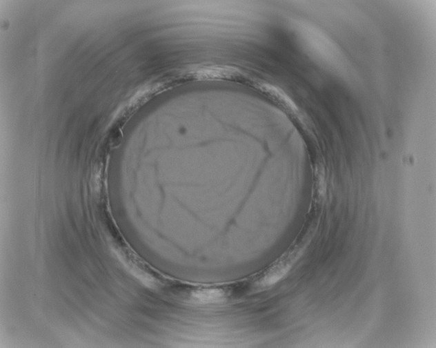 X0000087700357200706011750