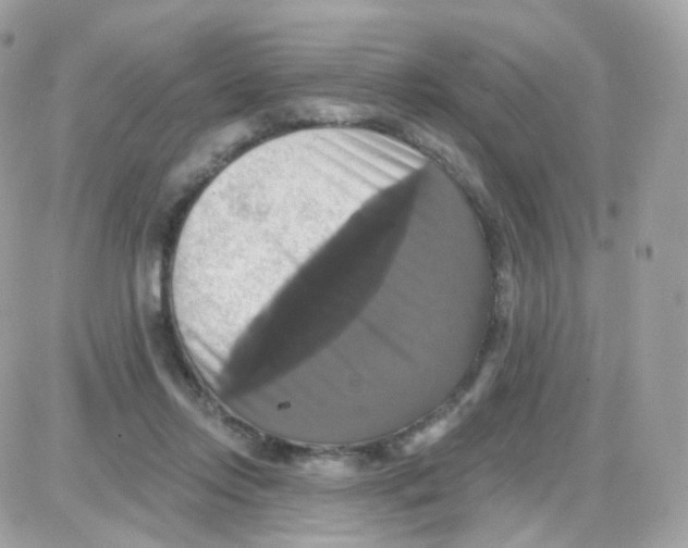 X0000087700358200706011750