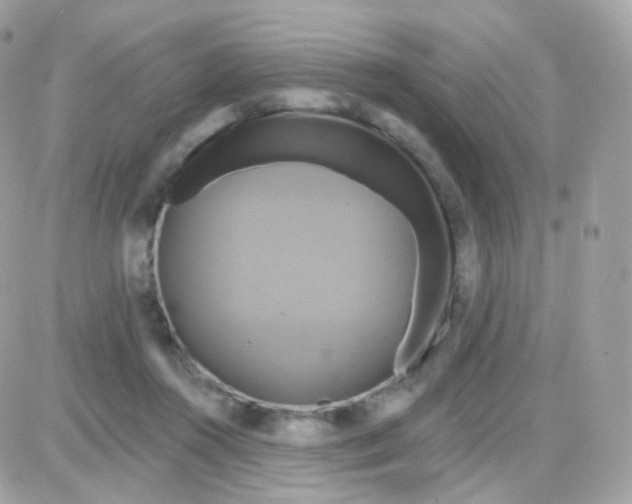 X0000087700360200706011750