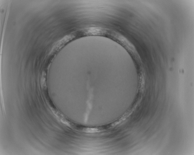 X0000087700361200706011750