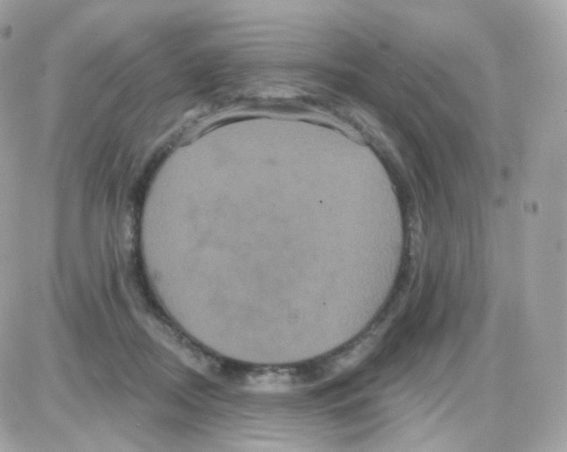 X0000087700362200706011750