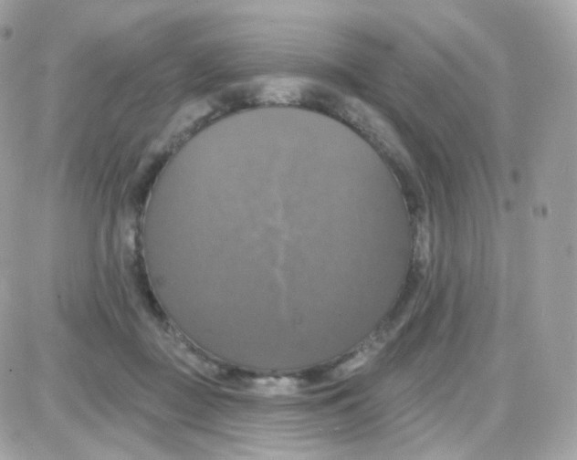 X0000087700363200706011750