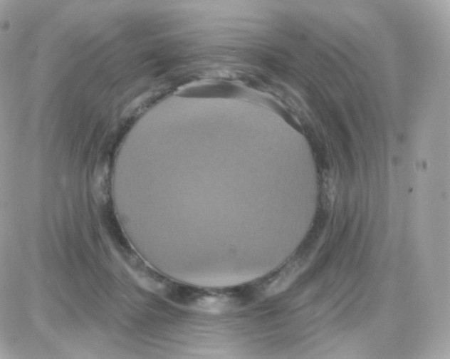 X0000087700364200706011750