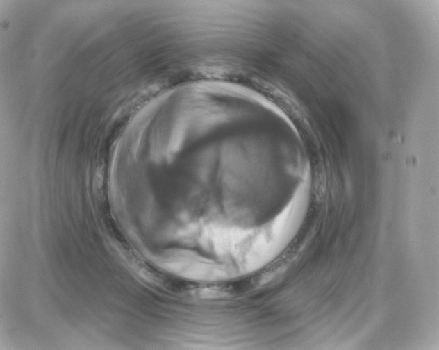 X0000087700365200706011750