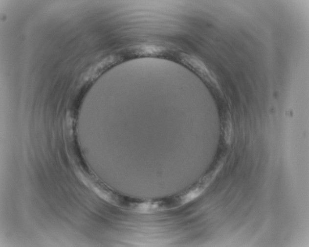 X0000087700366200706011750