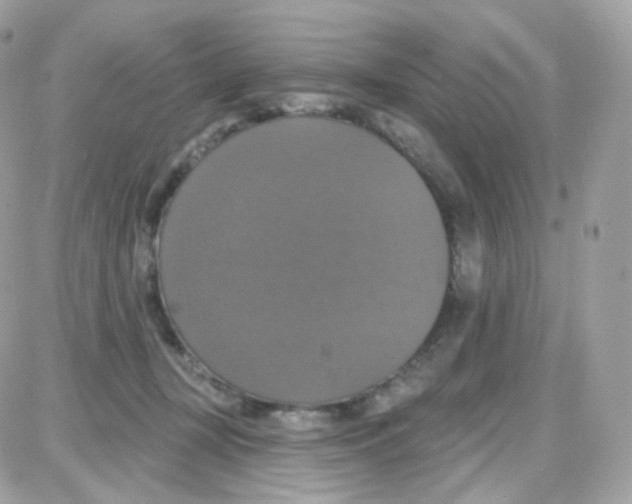 X0000087700367200706011751