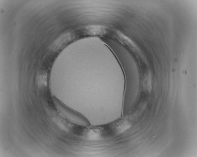 X0000087700368200706011751