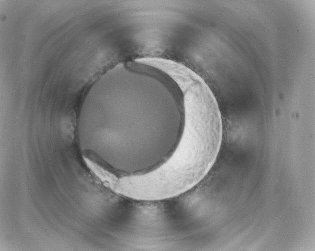 X0000087700370200706011751