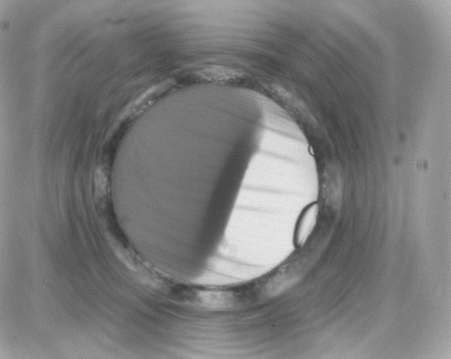 X0000087700371200706011751