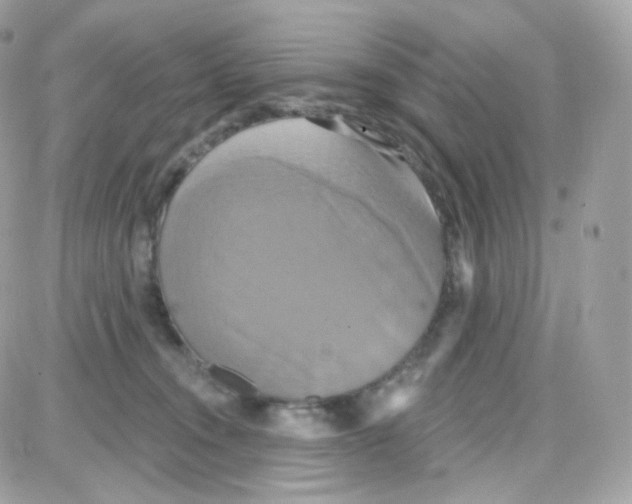 X0000087700372200706011751