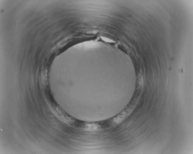 X0000087700376200706011751