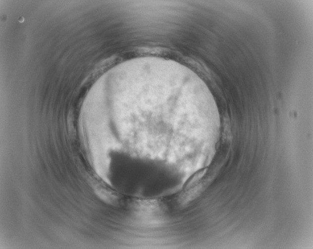 X0000087700377200706011751