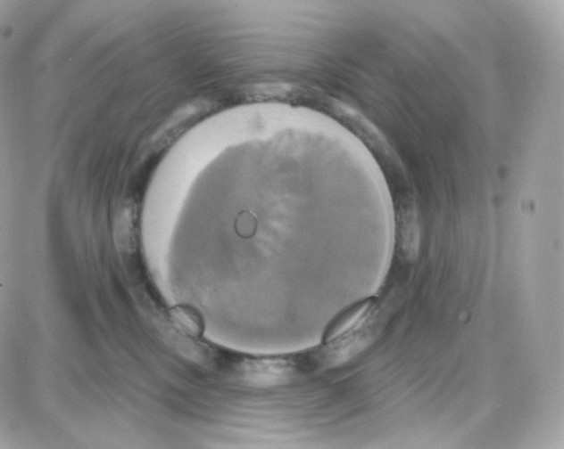 X0000087700378200706011751