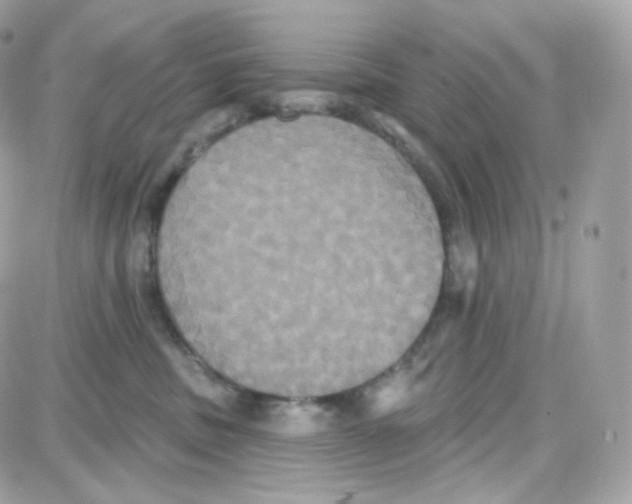 X0000087700379200706011751