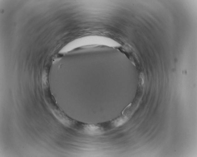 X0000087700380200706011751