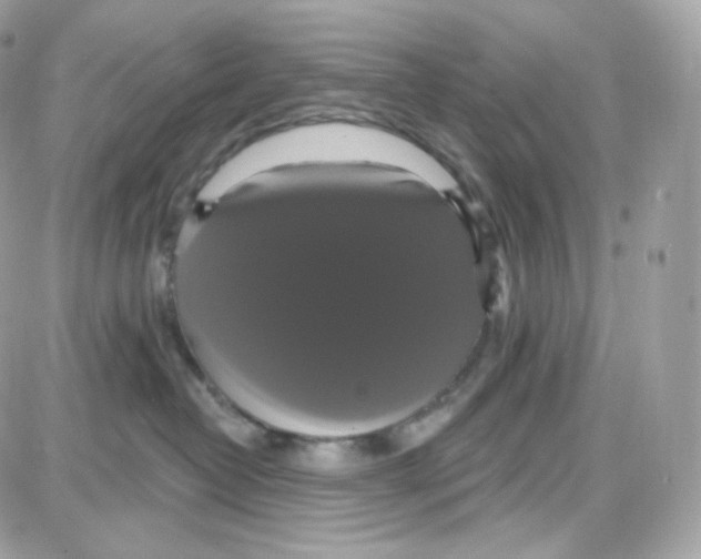 X0000087700382200706011751