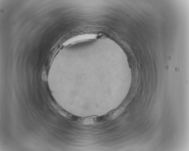 X0000087700384200706011751