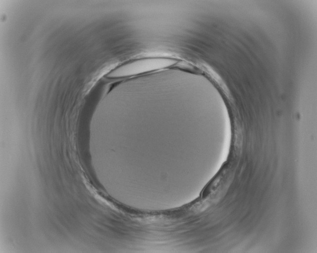 X0000087700385200706011750