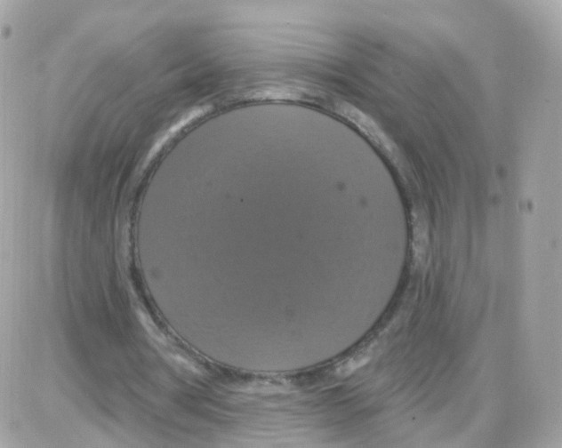 X0000087700386200706011750