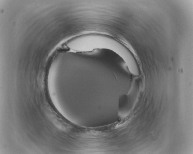 X0000087700387200706011750