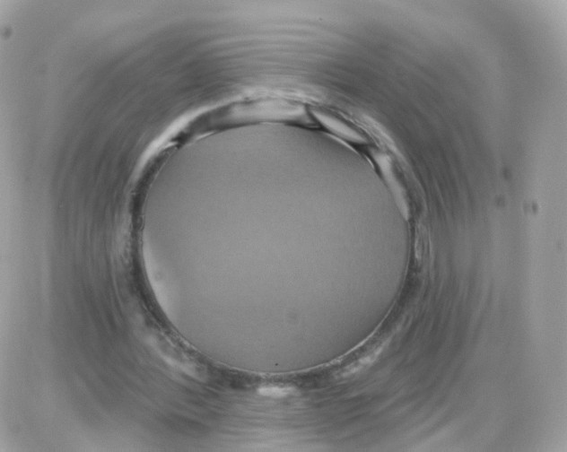 X0000087700388200706011750