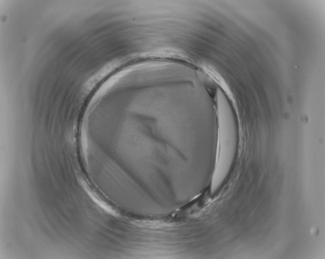 X0000087700389200706011750