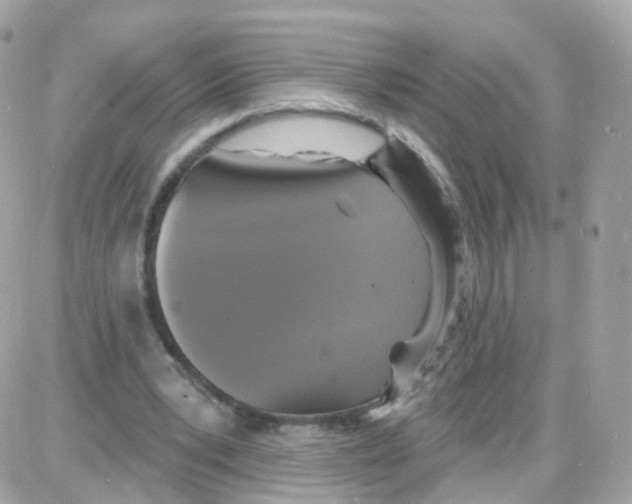 X0000087700391200706011750