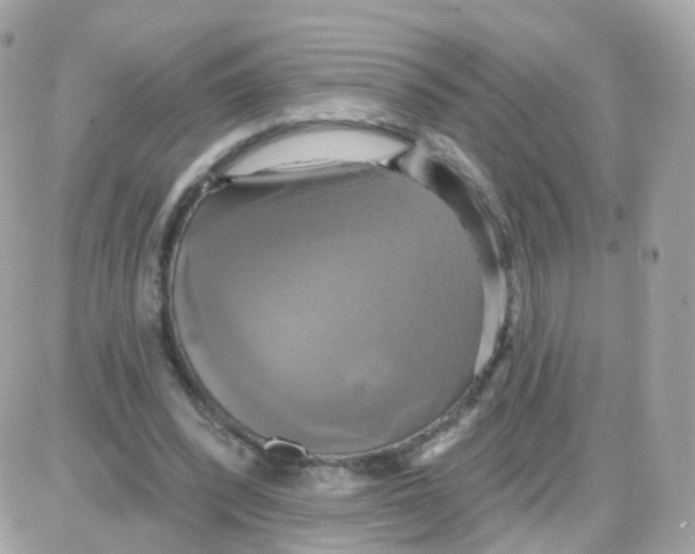 X0000087700392200706011750