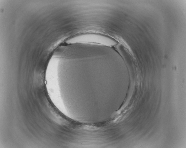 X0000087700393200706011750