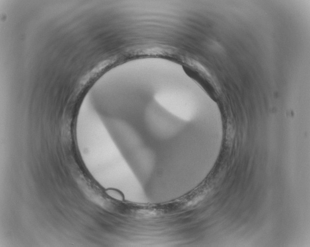 X0000087700394200706011750