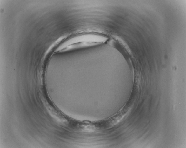 X0000087700395200706011750