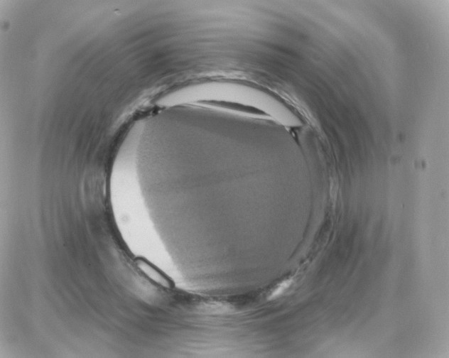 X0000087700397200706011750