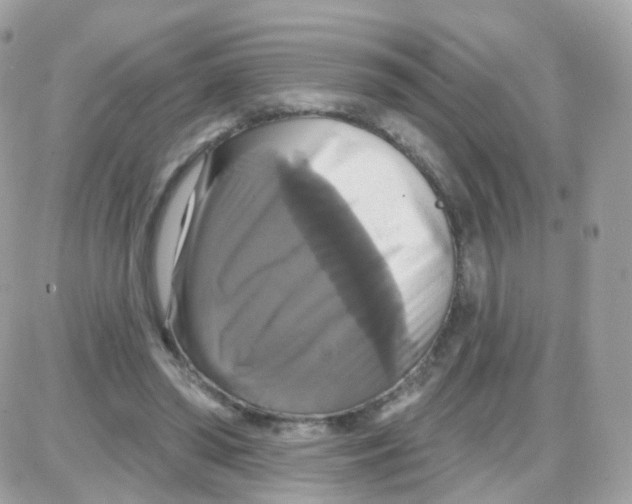 X0000087700398200706011750