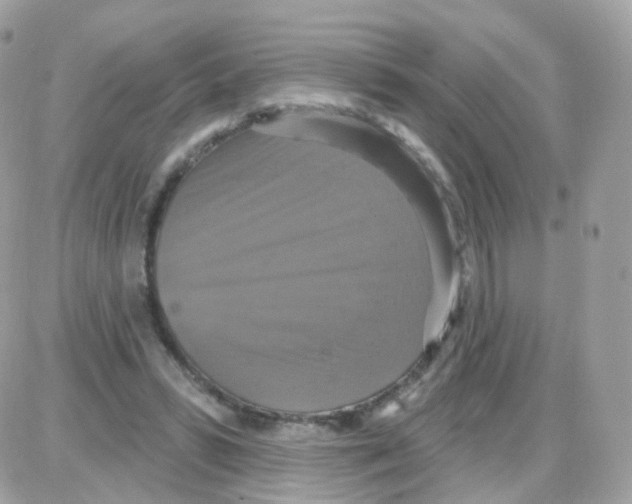 X0000087700399200706011750