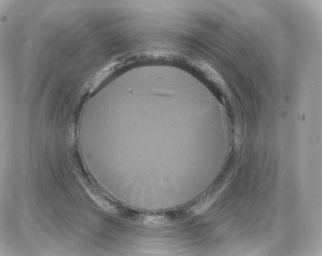 X0000087700401200706011750