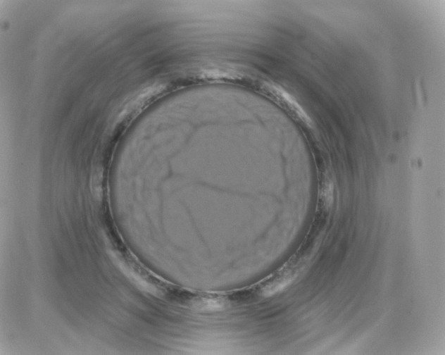 X0000087700402200706011750