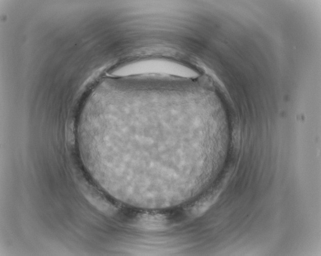 X0000087700403200706011750