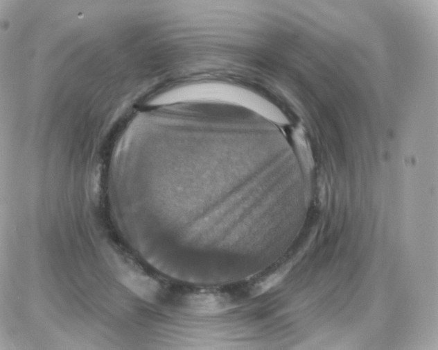 X0000087700404200706011750