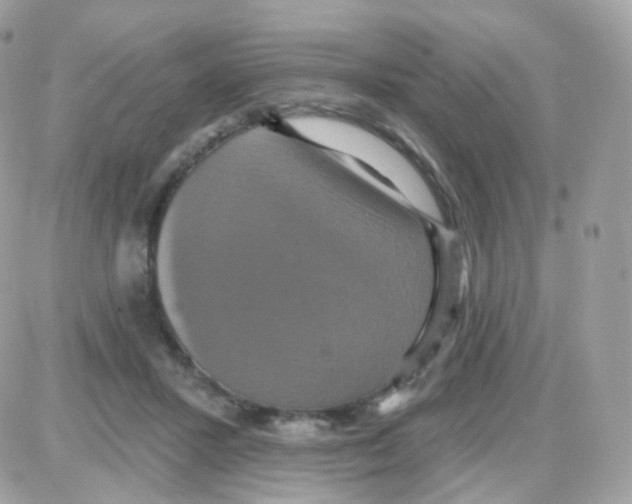 X0000087700407200706011750