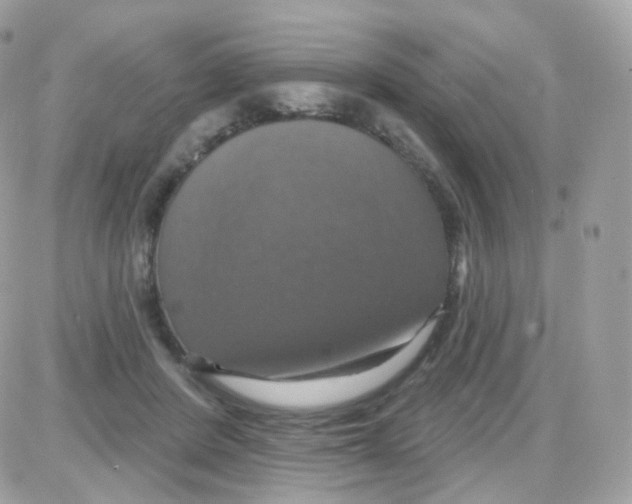 X0000087700408200706011750