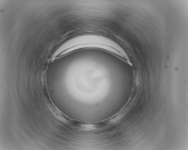 X0000087700409200706011750