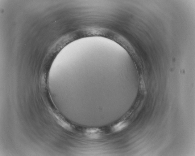 X0000087700410200706011750