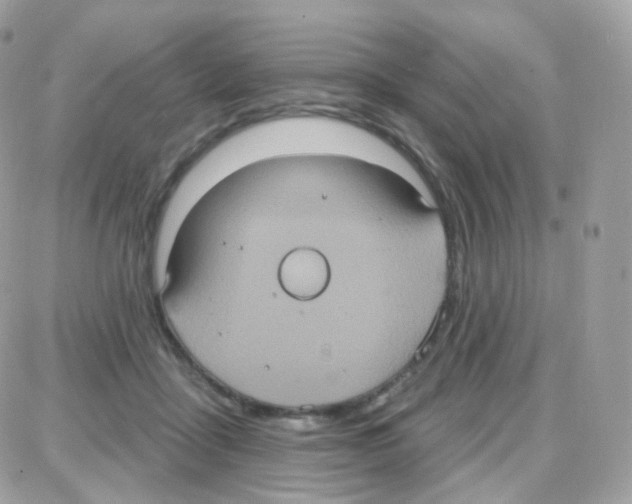 X0000087700411200706011750