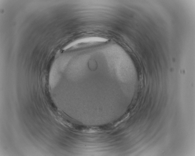 X0000087700412200706011750