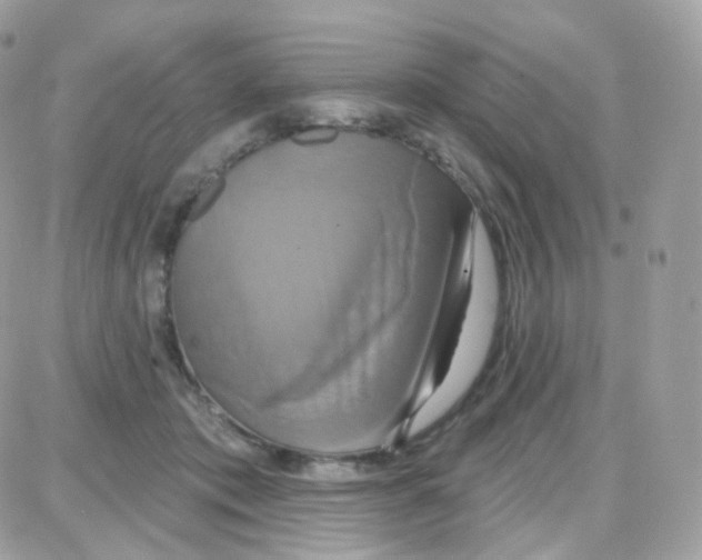 X0000087700413200706011750